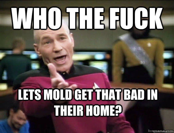 who the fuck lets mold get that bad in their home?  Annoyed Picard HD