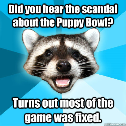 Did you hear the scandal about the Puppy Bowl? Turns out most of the game was fixed.  Lame Pun Coon