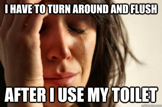 I have to turn around and flush after I use my toilet  First World Problems