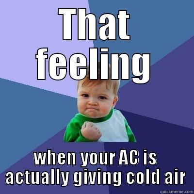 THAT FEELING WHEN YOUR AC IS ACTUALLY GIVING COLD AIR Success Kid