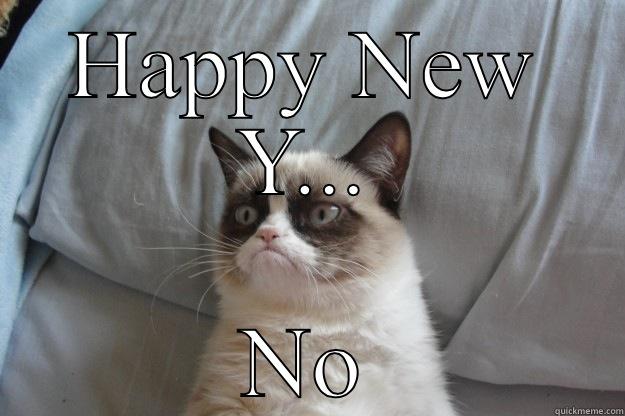 Grumpy Cat - HAPPY NEW Y... NO Grumpy Cat