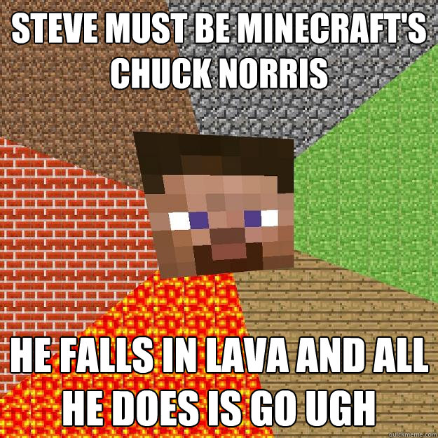 Steve must be minecraft's chuck norris he falls in lava and all he does is go ugh  Minecraft