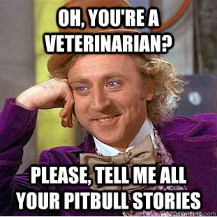 Oh, you're a veterinarian? Please, tell me all your pitbull stories - Oh, you're a veterinarian? Please, tell me all your pitbull stories  Creepy Wonka