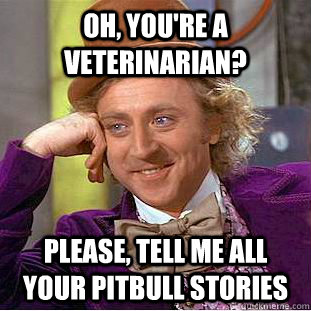 Oh, you're a veterinarian? Please, tell me all your pitbull stories  Creepy Wonka