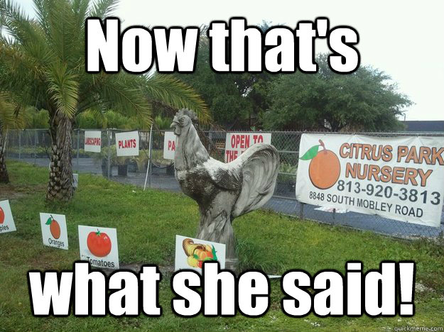Now that's  what she said!  