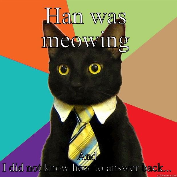 HAN WAS MEOWING AND I DID NOT KNOW HOW TO ANSWER BACK... Business Cat
