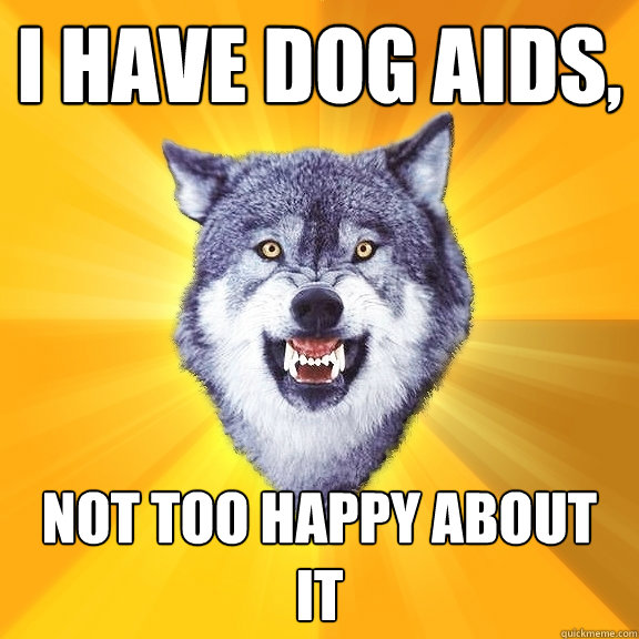 i have dog aids, not too happy about it  Courage Wolf