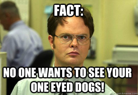 Fact: No one wants to see your one eyed dogs!  Schrute