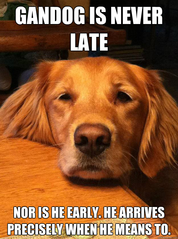 Gandog is never late Nor is he early. He arrives precisely when he means to.  Gandog