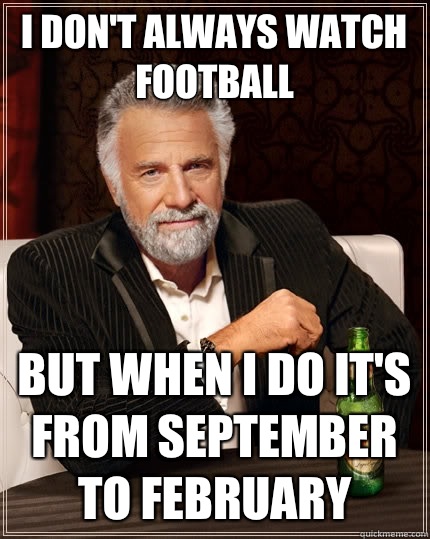 I Don't always watch football But when i do it's from September to February   The Most Interesting Man In The World