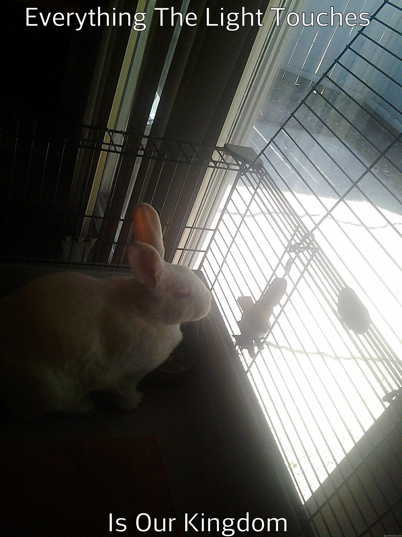 EVERYTHING THE LIGHT TOUCHES IS OUR KINGDOM Misc