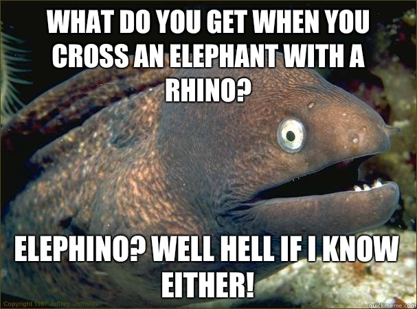 What do you get when you cross an elephant with a rhino? Elephino? WELL HELL IF I KNOW EITHER!  Bad Joke Eel