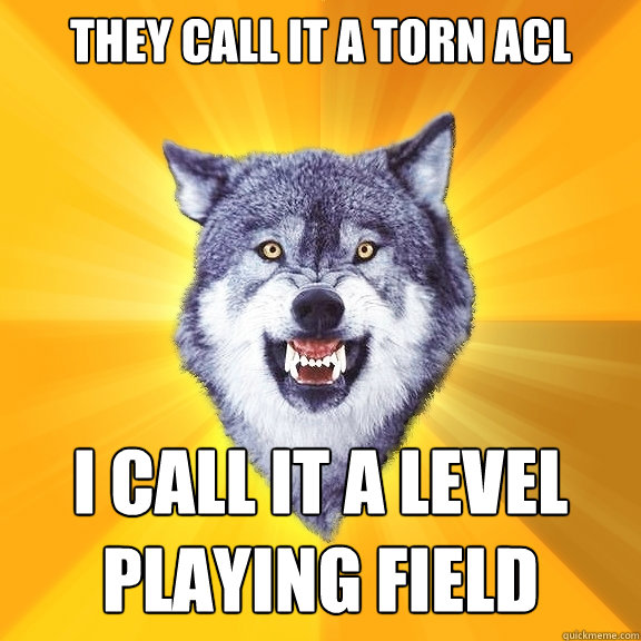 THEY CALL IT A TORN ACL I CALL IT A LEVEL PLAYING FIELD  Courage Wolf