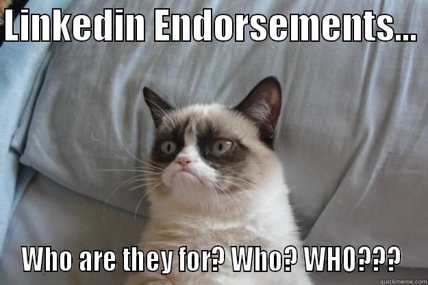 Linkedin Cat! - LINKEDIN ENDORSEMENTS...  WHO ARE THEY FOR? WHO? WHO??? Grumpy Cat