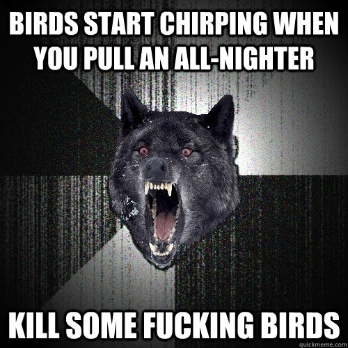 Birds start chirping when you pull an all-nighter Kill some FUCKING BIRDS  Insanity Wolf