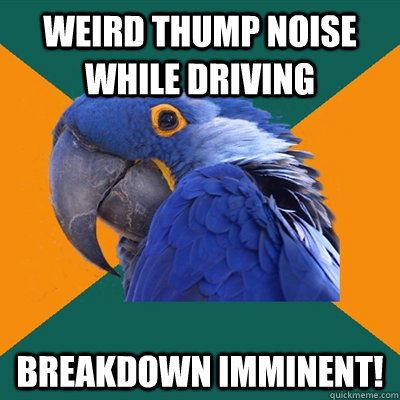 Weird thump noise while driving Breakdown Imminent!  Paranoid Parrot