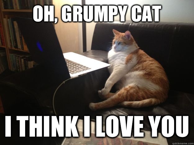 Oh, grumpy cat I think I love you  vicarious cat