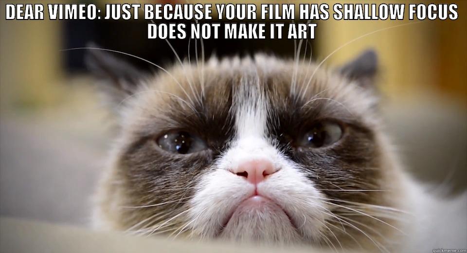VIMEO GRUMPY CAT - DEAR VIMEO: JUST BECAUSE YOUR FILM HAS SHALLOW FOCUS DOES NOT MAKE IT ART  Misc
