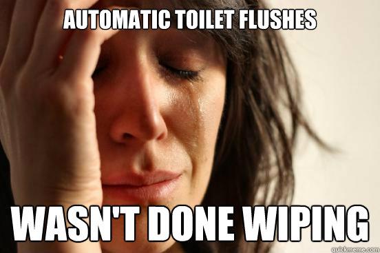 Automatic toilet flushes wasn't done wiping   First World Problems