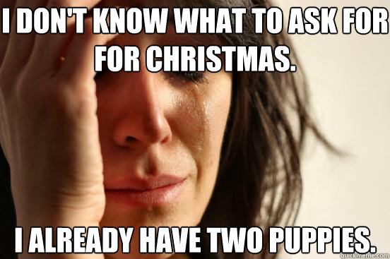I don't know what to ask for for Christmas.  I already have two puppies.  First World Problems