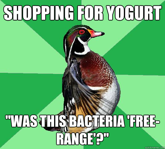 Shopping for Yogurt 