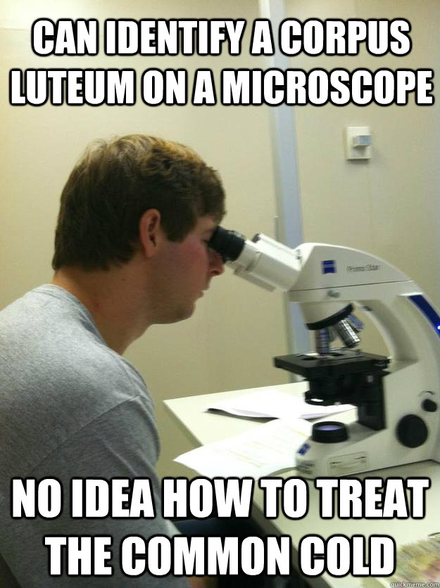 Can identify a corpus luteum on a microscope No idea how to treat the common cold  