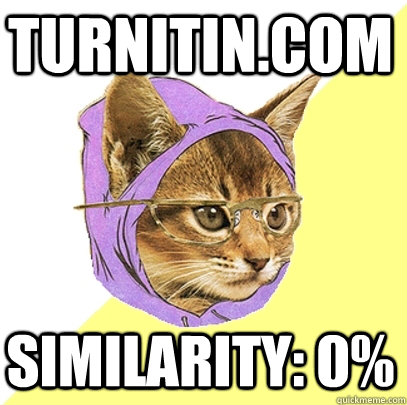 turnitin.com similarity: 0%  Hipster Kitty