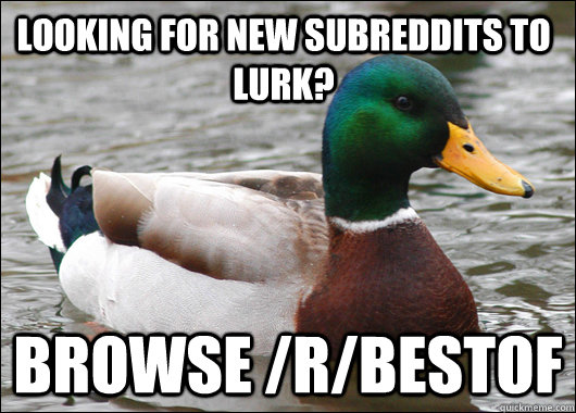 Looking for new subreddits to lurk?  Browse /r/bestof - Looking for new subreddits to lurk?  Browse /r/bestof  Actual Advice Mallard