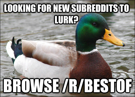 Looking for new subreddits to lurk?  Browse /r/bestof  Actual Advice Mallard