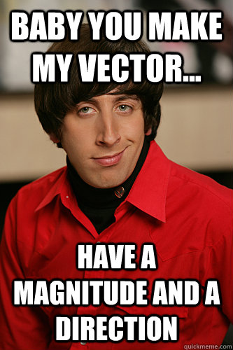 Baby you make my vector... Have a magnitude and a direction  Howard Wolowitz