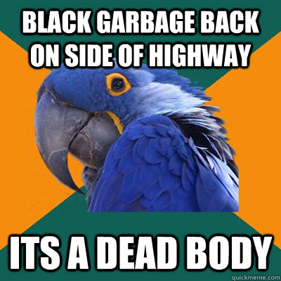 BLACK GARBAGE BACK ON SIDE OF HIGHWAY ITS A DEAD BODY  Paranoid Parrot