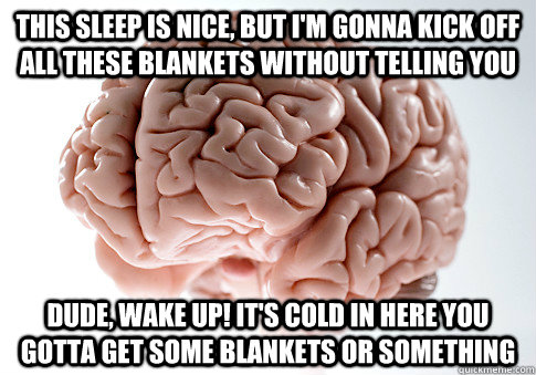 This sleep is nice, but I'm gonna kick off all these blankets without telling you Dude, wake up! It's cold in here you gotta get some blankets or something  Scumbag Brain