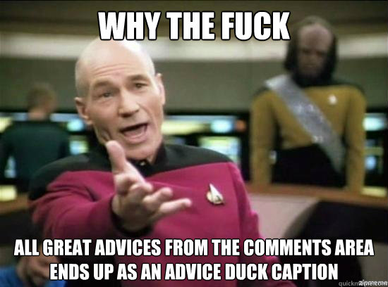 Why the fuck

 All great advices from the comments area ends up as an advice duck caption  Annoyed Picard HD