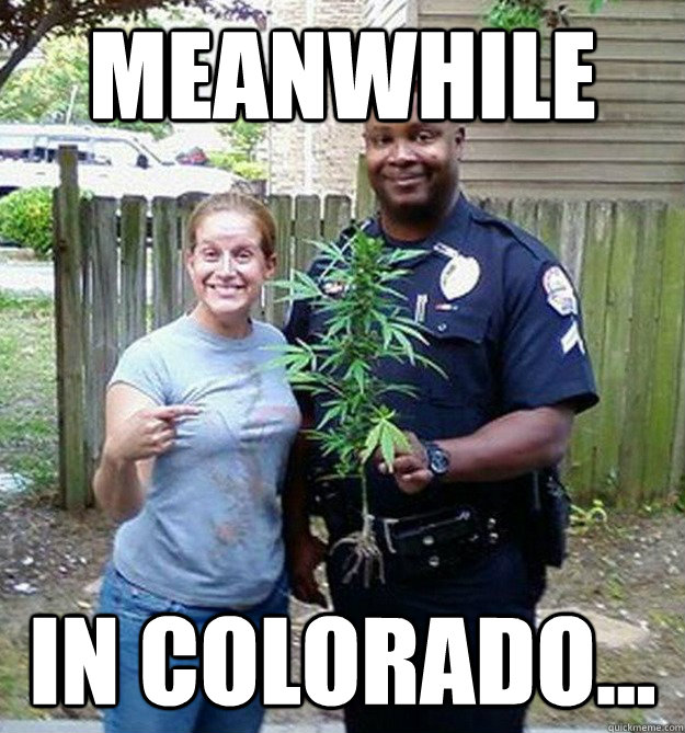 Meanwhile in Colorado... - Meanwhile in Colorado...  Colorado