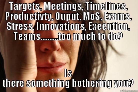 TARGETS, MEETINGS, TIMELINES, PRODUCTIVTY, OUPUT, MOS, EXAMS, STRESS, INNOVATIONS, EXECUTION, TEAMS..........TOO MUCH TO DO? IS THERE SOMETHING BOTHERING YOU? First World Problems