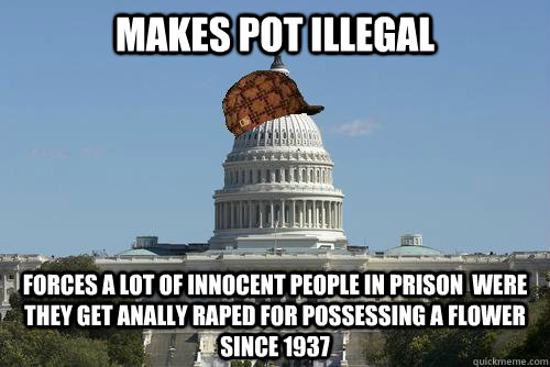 Makes pot illegal forces a lot of innocent people in prison  were they get anally raped for possessing a flower since 1937  Scumbag Government