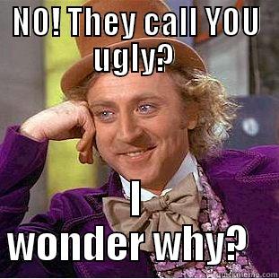 NO! THEY CALL YOU UGLY?  I WONDER WHY?   Condescending Wonka
