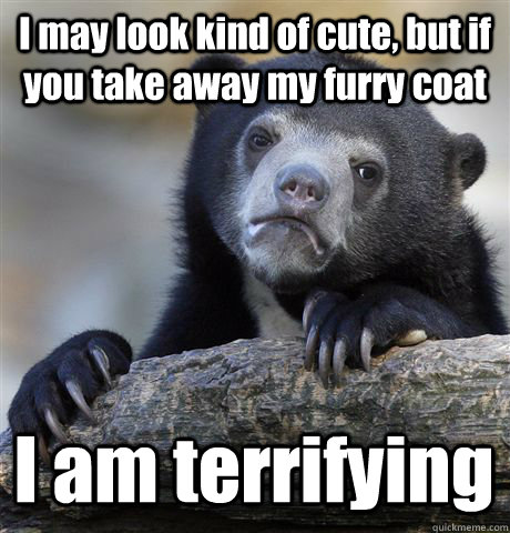 I may look kind of cute, but if you take away my furry coat I am terrifying  Confession Bear