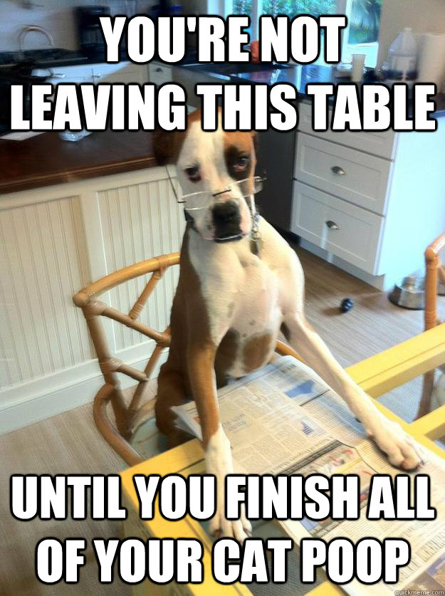 you're not leaving this table until you finish all of your cat poop - you're not leaving this table until you finish all of your cat poop  The Dog Father