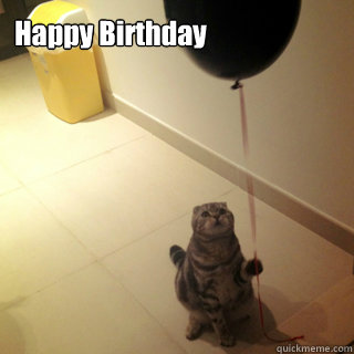 Happy Birthday   Sad Birthday Cat