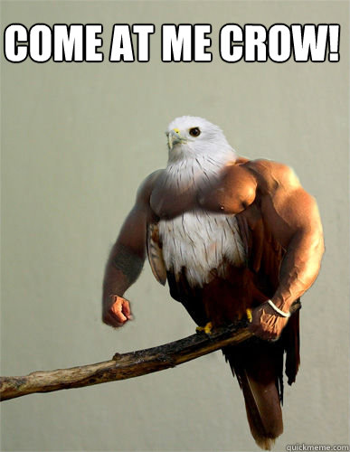 COME AT ME CROW!  
