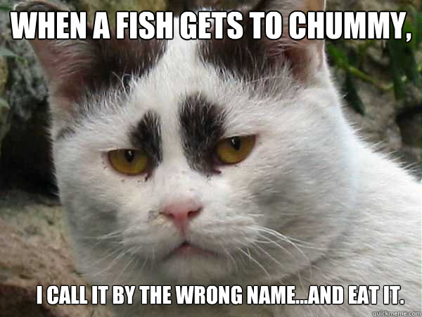 When a fish gets to chummy, I call it by the wrong name...and eat it.  Ron Swanson Cat