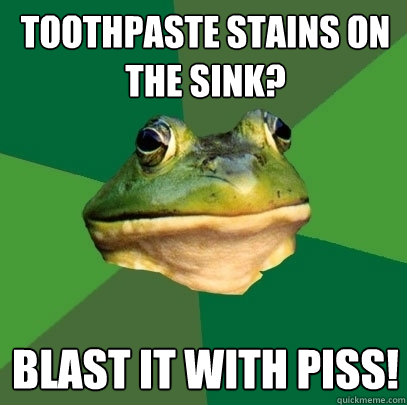 Toothpaste stains on the sink? Blast it with piss!  Foul Bachelor Frog