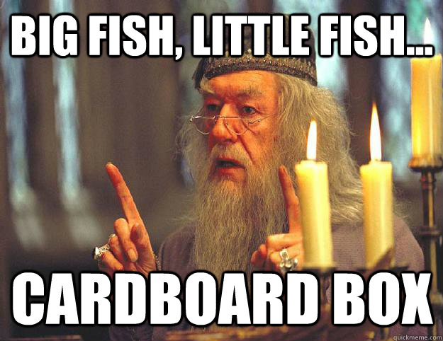 Big fish, little fish... Cardboard box  Scumbag Dumbledore