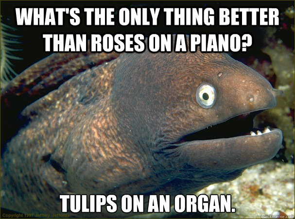 What's the only thing better than roses on a piano? Tulips on an organ. - What's the only thing better than roses on a piano? Tulips on an organ.  Bad Joke Eel