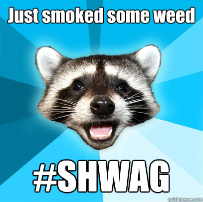 Just smoked some weed #SHWAG  Lame Pun Coon