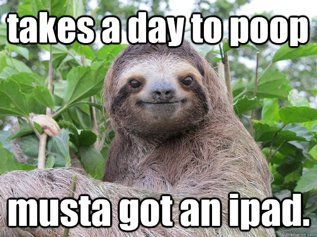 takes a day to poop musta got an ipad.  Stoned Sloth