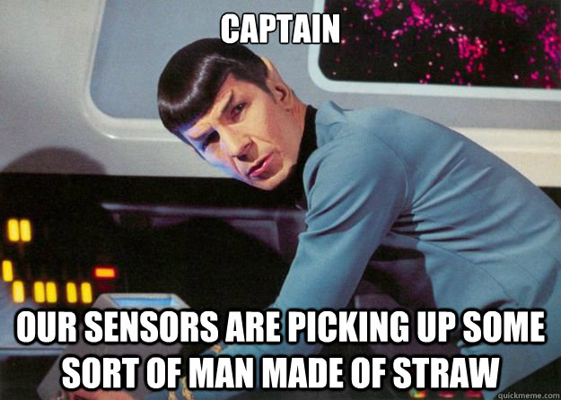 captain our sensors are picking up some sort of man made of straw  Spock