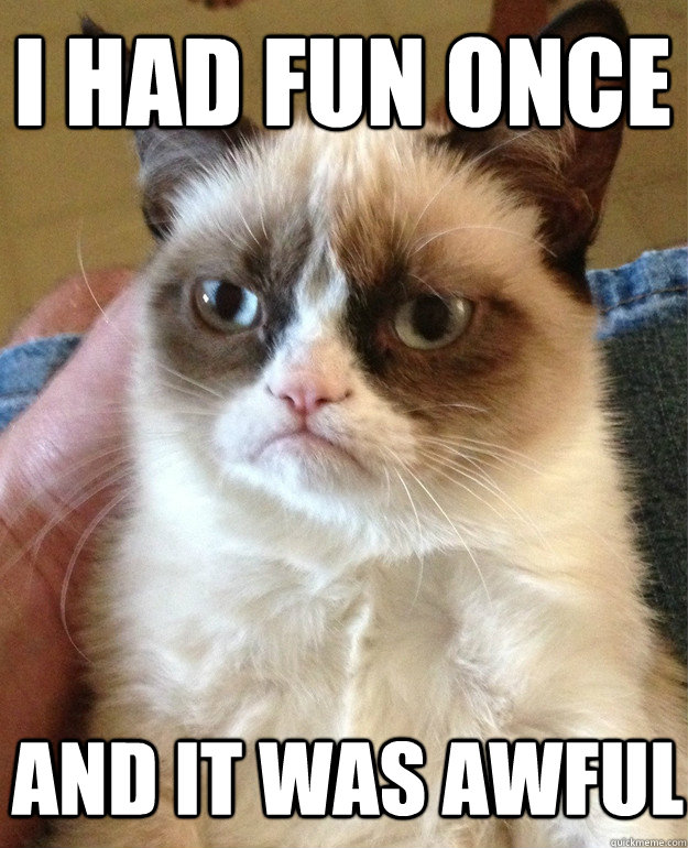 i had fun once and it was awful  Grumpy Cat