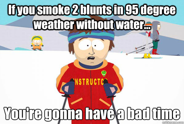 If you smoke 2 blunts in 95 degree weather without water... You're gonna have a bad time  